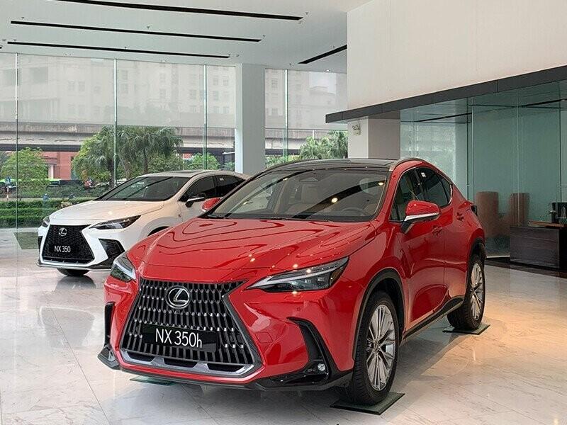 Một thiết kế cầu thang chữ U 21 bậc ấn tượng trong không gian phòng khách sang trọng, nổi bật với sự kết hợp hài hòa giữa vật liệu cao cấp và phong cách thiết kế hiện đại